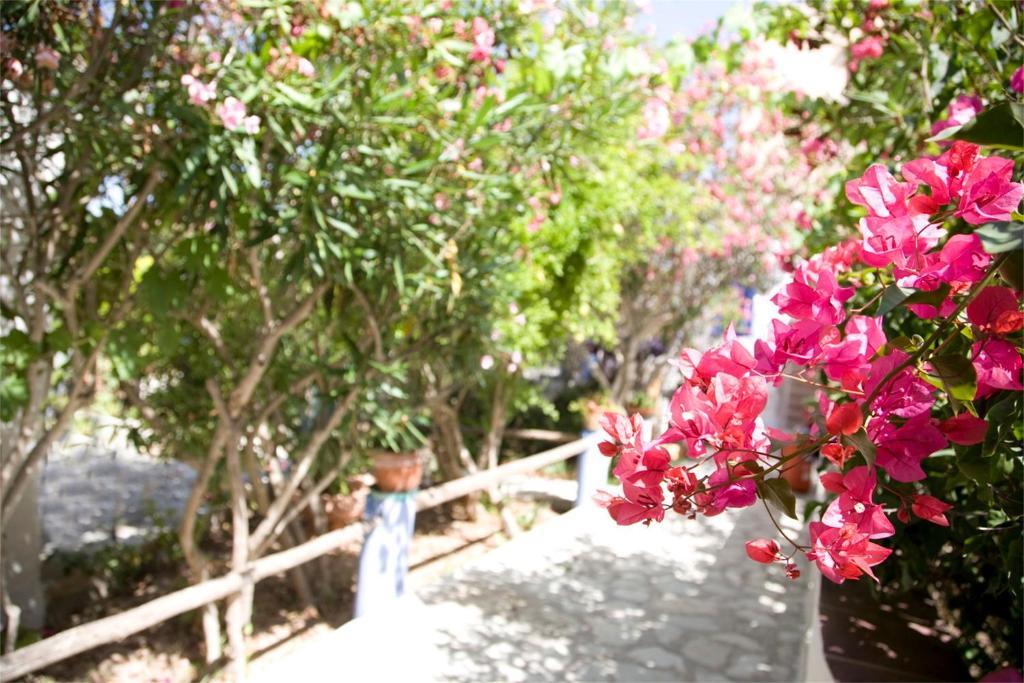 L'Oasi Villaggio Albergo Favignana Ngoại thất bức ảnh